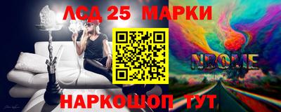 ешки Гай