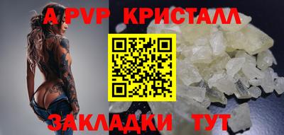 ешки Гай
