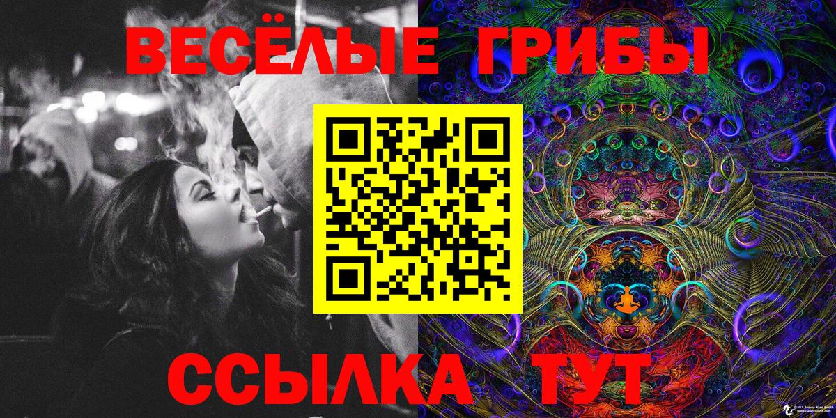 Псилоцибиновые грибы Psilocybine cubensis  Вход с VPN  Псилоцибиновые грибы Psilocybe  Лосино-Петровский 