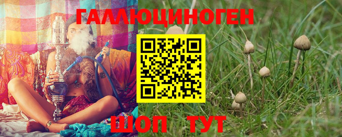 Псилоцибиновые грибы GOLDEN TEACHER Лосино-Петровский